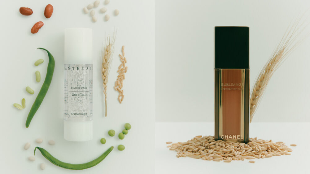 왼쪽에는 다양한 콩과 곡물로 장식된 화이트 색상의 스킨케어 제품이 있고, 오른쪽에는 곡물 위에 놓인 샤넬 갈색 병이 보인다.