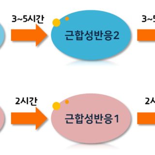 image 142f8fcf e936 4d01 b0fd de161e4217e4