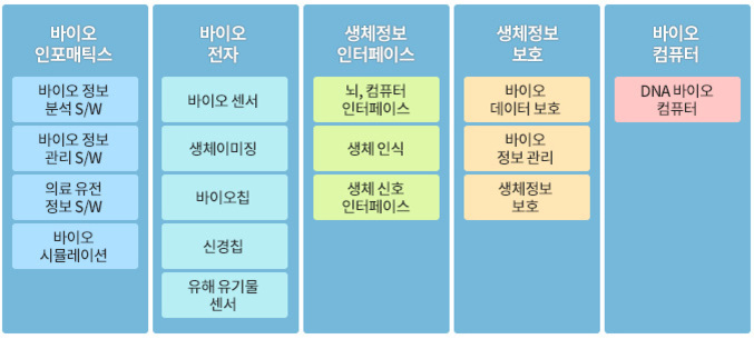 바이오 인포매틱스, 바이오 전자, 생체정보 인터페이스, 생체정보 보호, 바이오 컴퓨터 등 5가지 분야로 나누어진 표. 각 분야별로 세부 항목들이 있음: 예) 바이오 인포매틱스에는 정보 분석 S/W, 시뮬레이션 등이 포함됨.