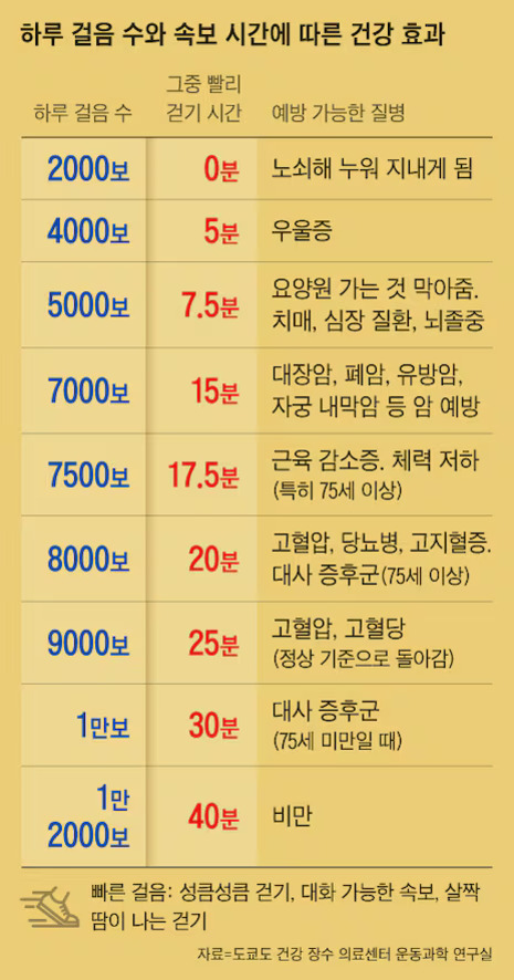 하루 걸음 수와 속보 시간에 따른 건강 효과를 표로 정리한 이미지. 각 행은 하루 걸음 수, 그중 빠르게 걷기 시간, 그리고 예방 가능한 질병을 나열함. 예시: 2000보는 0분 빠른 걷기로 노쇠해 누워 지내게 됨, 8000보는 20분 빠른 걷기로 고혈압, 당뇨병 등 예방 가능 등으로 설명됨.