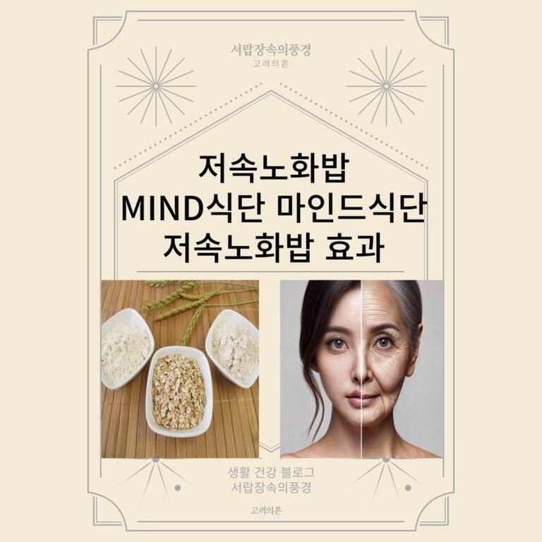 저속노화밥, MIND식단, 마인드식단, 저속노화밥 효과라는 문구가 적혀 있고 아래에는 곡물과 쌀이 담긴 그릇과 한 여성의 얼굴이 젊음과 노화로 나누어진 이미지를 보여주는 건강 관련 포스터