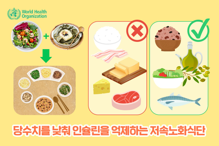 세계보건기구 로고와 함께, 당수치를 낮추고 인슐린을 억제하는 저속노화식단에 대해 설명하는 이미지. 흰쌀밥, 베이컨, 버터 등은 피해야 하며(빨간 X), 잡곡밥, 올리브유, 샐러드, 생선 등은 권장됨(초록 체크). 아래에는 다양한 한식 반찬과 샐러드 그림이 있음.