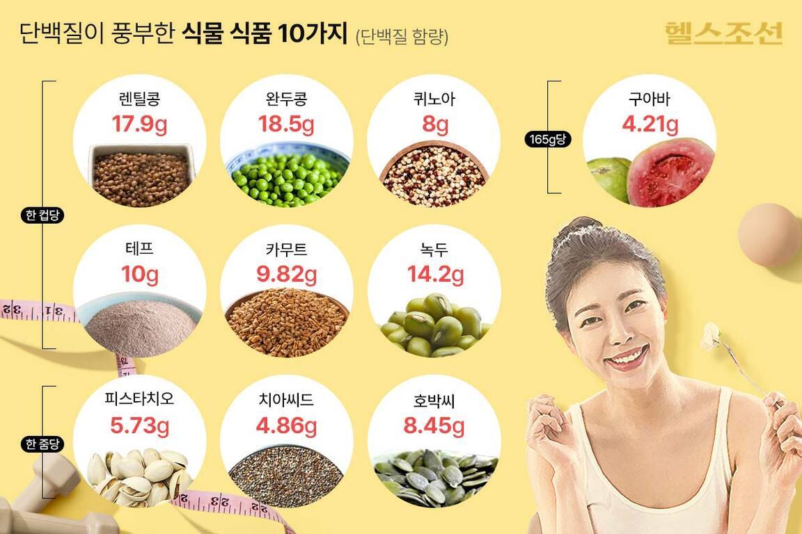 단백질이 풍부한 식물 식품 10가지를 소개하는 인포그래픽 이미지. 각 식품과 단백질 함량(1컵 또는 165g, 한 줌당)이 원형 사진과 함께 표시되어 있다. 렌틸콩(17.9g), 완두콩(18.5g), 퀴노아(8g), 구아바(4.21g), 테프(10g), 카무트(9.82g), 녹두(14.2g), 피스타치오(5.73g), 치아씨드(4.86g), 호박씨(8.45g) 등이 있으며, 오른쪽에는 미소 짓는 여성의 모습이 있다.