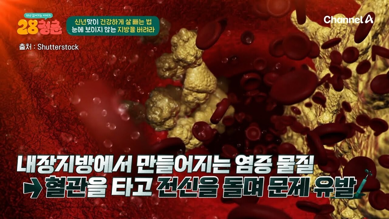 혈관 내부를 형상화한 이미지로, 노란색 지방 덩어리와 붉은 혈구들이 함께 떠다니고 있다. 상단에는 건강하게 살 빼는 법에 대한 설명이 있고, 하단에는 내장지방에서 만들어지는 염증 물질이 혈관을 타고 전신을 돌며 문제를 유발한다는 자막이 있다.