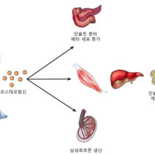 image 5a48b1d2 bc48 4d39 b529 1f7aec0b0e22