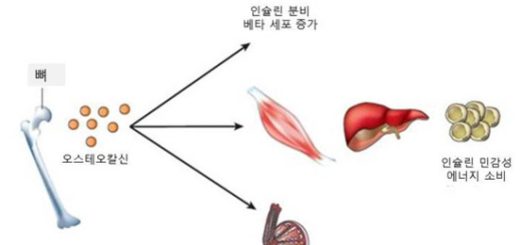 image 5a48b1d2 bc48 4d39 b529 1f7aec0b0e22