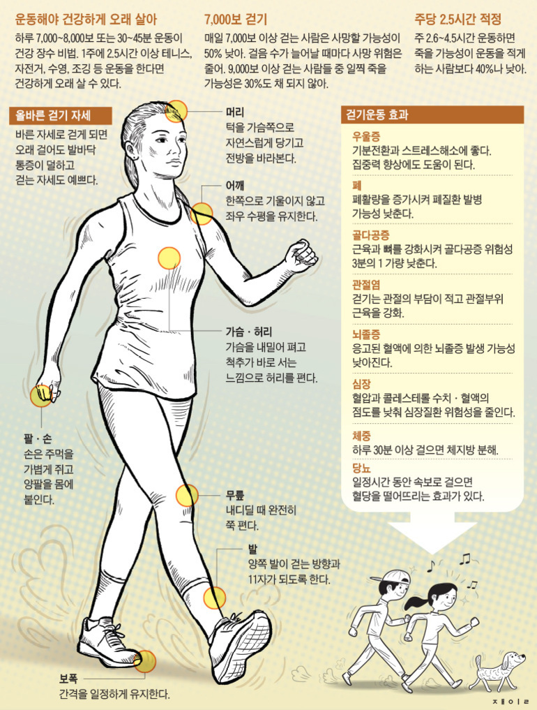 걷기 운동의 효과와 올바른 걷기 자세를 설명하는 인포그래픽. 중앙에 운동복을 입은 여성이 바르게 걷는 모습을 보여주며 머리, 어깨, 팔, 손, 가슴과 허리, 무릎, 발 등의 올바른 자세 포인트가 표시되어 있다. 주변에는 7천 보 걷기의 장점과 주당 2.5시간 이상 운동의 중요성 등 건강 관련 정보와 다양한 신체 부위별 효과가 적혀 있다. 하단에는 두 명의 어린이가 함께 걸으며 음악을 듣고 있는 일러스트도 포함되어 있다.
