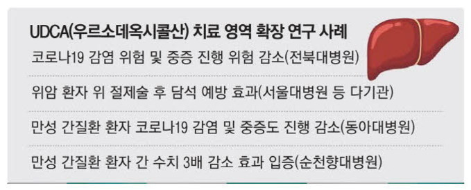 UDCA(우르소데옥시콜산) 치료 영역 확장 연구 사례에 대해 설명하는 표와 간 그림. 코로나19 감염 위험 및 중증 진행 위험 감소, 위암 환자 담석 예방 효과, 만성 간질환 환자 코로나19 감염 및 중증도 진행 감소, 만성 간질환 환자 간 수치 3배 감소 효과 등의 문구가 포함됨.