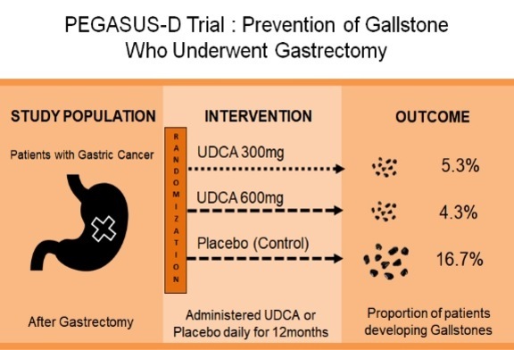 위암으로 위절제술을 받은 환자를 대상으로 UDCA 300mg, UDCA 600mg, 또는 플라세보를 12개월간 투여한 후 담석 발생률을 비교한 임상시험 결과. UDCA 300mg군은 5.3%, UDCA 600mg군은 4.3%, 플라세보군은 16.7%의 담석 발생률을 보임.