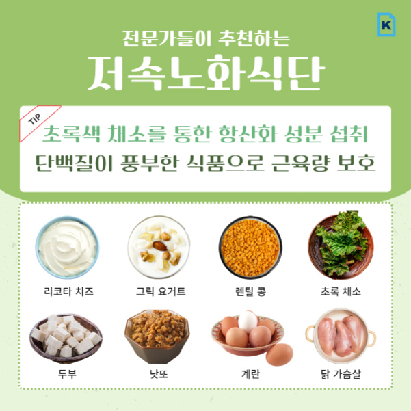 전문가들이 추천하는 저속노화식단에 대한 안내 이미지로, 초록색 채소를 통한 항산화 성분 섭취와 단백질이 풍부한 식품으로 근육량 보호를 강조하고 있다. 대표 식품으로 리코타 치즈, 그릭 요거트, 렌틸콩, 초록 채소, 두부, 낫또, 계란, 닭 가슴살이 그림과 함께 소개되어 있다.