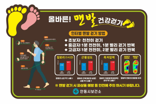 맨발 걷기의 건강 효과와 방법을 안내하는 포스터. 초급자, 중급자, 고급자의 맨발 걷기 방법과 칼로리 소모, 근활성도, 족저압력 변화가 그래프로 설명되어 있다. 하단에는 안전 주의 문구와 안동시보건소 로고가 있다.