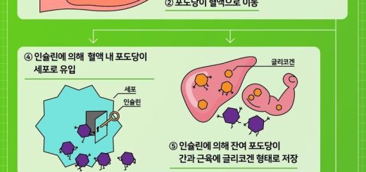 image f94aa7cc cdae 46ab afca 79e44e7b9627