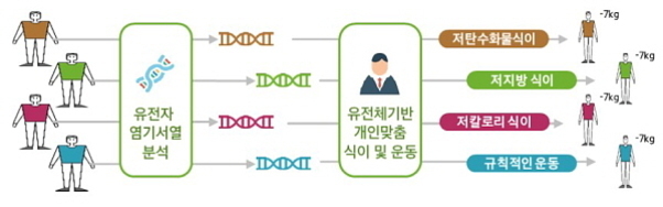 개인의 유전자 염기서열을 분석하여 맞춤형 식이 및 운동법(저탄수화물식이, 저지방 식이, 저칼로리 식이, 규칙적인 운동)을 제공하고 각 방법마다 7kg 감량 효과가 있음을 보여주는 다이어트 관련 인포그래픽