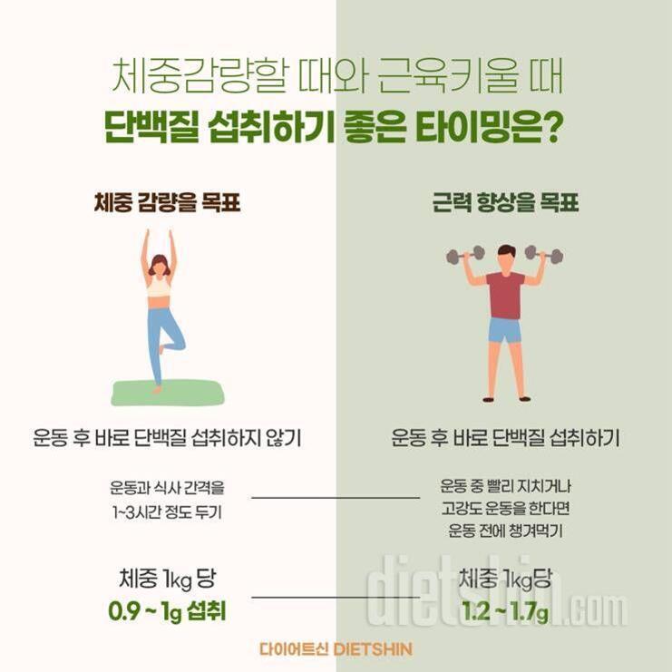 체중감량과 근육키울 때 단백질 섭취 타이밍을 비교한 인포그래픽. 왼쪽에는 요가 자세를 하는 여성 그림과 함께 '체중 감량을 목표'로 운동 후 바로 단백질 섭취하지 않고, 운동과 식사 간격 1-3시간 두기, 체중 1kg당 0.9~1g 섭취 권장 설명이 있다. 오른쪽에는 덤벨을 드는 남성 그림과 '근력 향상을 목표'로 운동 후 바로 단백질 섭취, 고강도 운동 시엔 전에도 챙겨먹기, 체중 1kg당 1.2~1.7g 섭취 권장 내용이 있다.