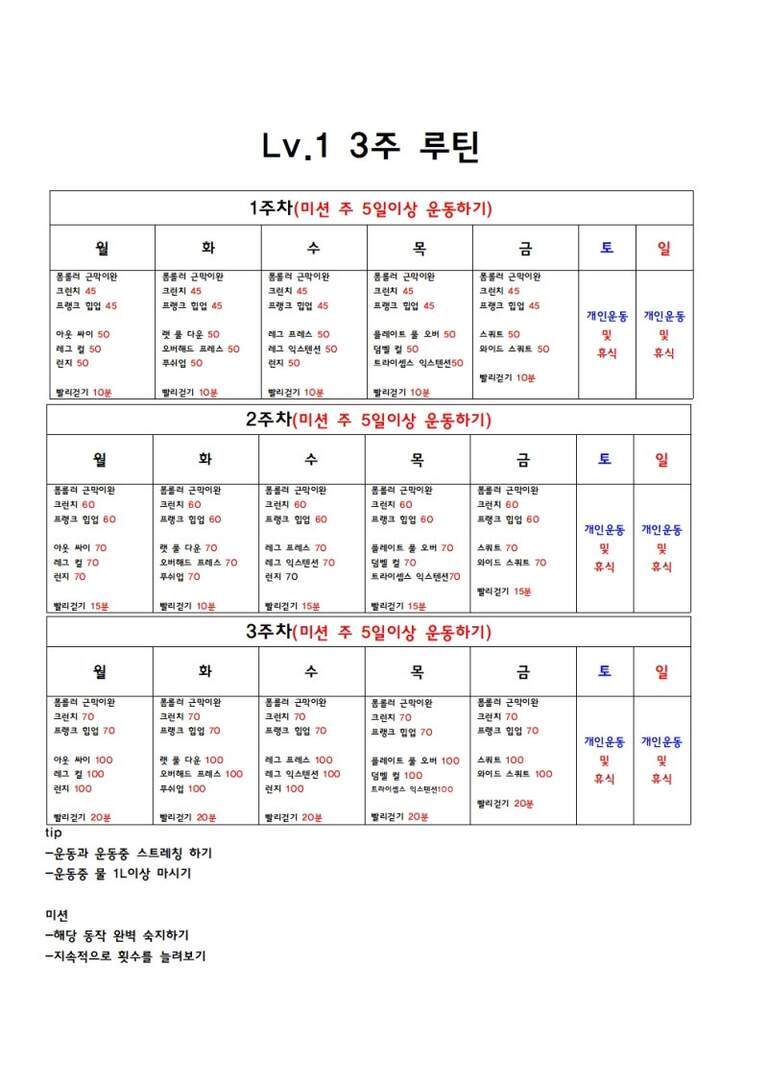 Lv.1 3주 운동 루틴표 이미지로, 각 주차별(1~3주) 월요일부터 금요일까지의 운동 스케줄이 표로 정리되어 있다. 각 요일마다 플랭크 근막이완, 크런치, 트위스트, 하복 싸이 등 다양한 운동과 횟수·시간이 적혀 있으며 토요일과 일요일은 개인운동 및 휴식으로 표시됨. 아래에는 스트레칭, 물 마시기 등의 팁과 미션 안내가 있다.