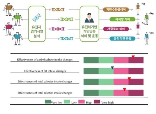 유전자 염기서열 분석을 통해 개인 맞춤 식이와 운동 방법(저탄수화물식이, 저지방식이, 저칼로리식이, 규칙적인 운동)으로 7kg 감량을 달성하는 과정을 보여주는 그림. 하단에는 탄수화물 섭취 변화, 지방 섭취 변화, 총 칼로리 섭취 변화의 효과를 매우 낮음~매우 높음 단계로 구분한 막대 그래프가 있음.