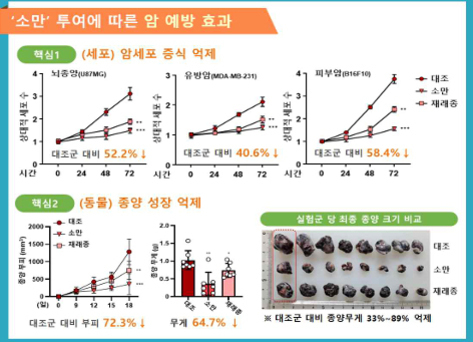 '소만' 투여에 따른 암 예방 효과를 보여주는 인포그래픽. 세포 실험(뇌종양, 유방암, 폐부암)에서 소만 투여 시 암세포 증식이 표준군 대비 40~58% 억제됨을 그래프로 나타냄. 동물 실험에서는 종양 성장과 무게가 각각 72%, 64% 감소했음을 막대그래프와 함께 설명. 오른쪽에는 대조군 및 소만 투여군의 쥐 종양 크기 비교 사진이 있음.