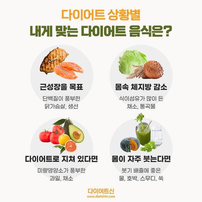 다이어트 상황별로 추천되는 음식들을 안내하는 인포그래픽. 근성장을 목표로 할 때는 닭가슴살과 생선, 몸속 체지방 감소를 원할 때는 채소와 통곡물, 다이어트로 지쳤을 때는 과일과 채소, 물이 자주 붓는다면 물, 호박, 스무디, 쑥 등이 좋다고 설명되어 있다.