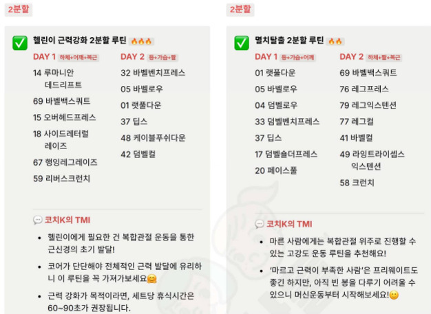 헬린이 근력강화와 멸치탈출을 위한 2분할 운동 루틴 표. 각 루틴은 DAY1과 DAY2로 구성되어 있으며, 각각의 날에 수행할 운동 목록이 번호와 함께 제시되어 있다. 하단에는 코치의 TMI(운동 팁 및 주의사항)가 적혀 있다.