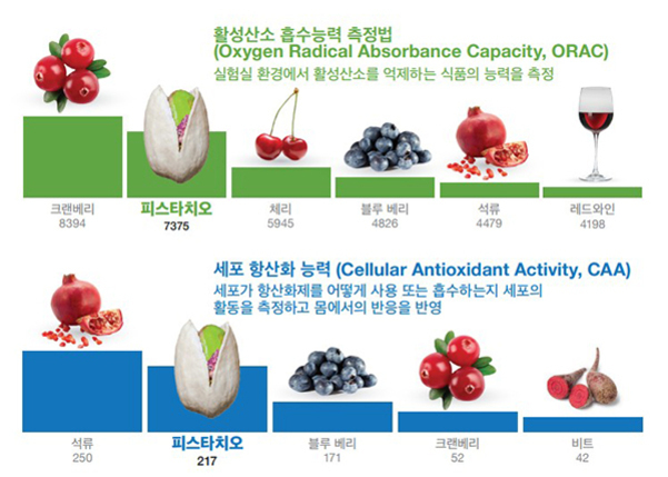 여러 식품(크랜베리, 피스타치오, 체리, 블루베리, 석류, 레드와인 등)의 활성산소 흡수능력(ORAC)과 세포 항산화 능력(CAA)을 막대그래프로 비교한 이미지. 각 식품별로 ORAC 수치와 CAA 수치가 표시되어 있으며 피스타치오가 두 지표에서 모두 중간 정도의 값을 가짐.