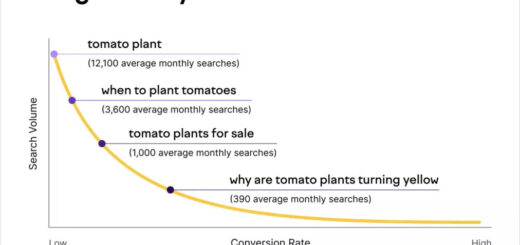 image db33f084 000d 4a9b a1a5 2cf870b7efd4