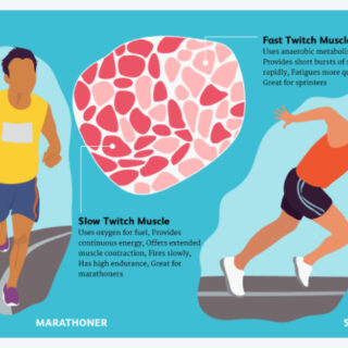 image e55ed39b 00a8 4fec 8aae dba2897be0ba