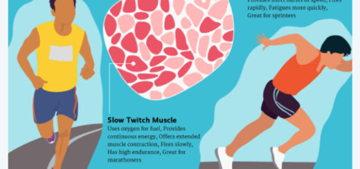 image e55ed39b 00a8 4fec 8aae dba2897be0ba