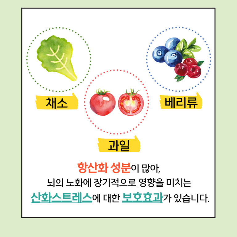 채소, 과일, 베리류의 그림과 함께 '항산화 성분이 많아 뇌의 노화에 장기적으로 영향을 미치는 산화스트레스에 대한 보호효과가 있습니다'라는 문구가 적혀 있는 이미지