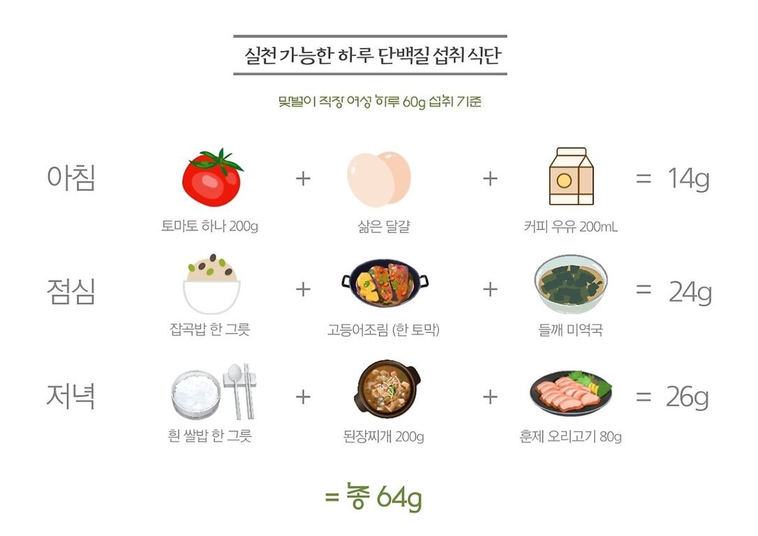 하루 단백질 60g 섭취를 위한 식단 예시로, 아침(토마토 200g, 삶은 달걀, 커피 우유 200mL=14g), 점심(잡곡밥 한 그릇, 고등어조림 한 토막, 들깨 미역국=24g), 저녁(흰 쌀밥 한 그릇, 된장찌개 200g, 훈제 오리고기 80g=26g)으로 구성되어 총 단백질 섭취량이 64g임을 보여주는 표.