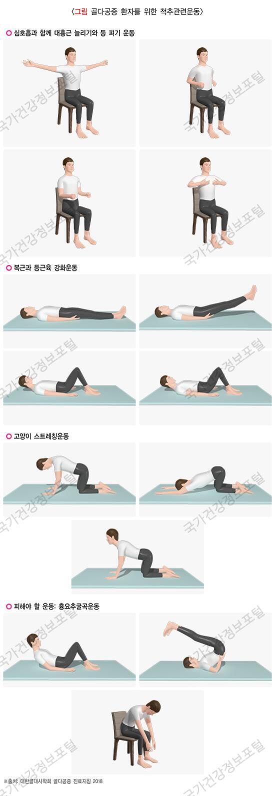 골다공증 환자를 위한 척추 관련 운동을 설명하는 그림. 의자에 앉아 팔 벌리기, 주먹 쥐기, 가슴 앞에서 손 모으기 등의 상체 운동과 매트에 누워 다리 들기, 무릎 굽혀 올리기 등 복근과 등 근육 강화운동, 네발 자세에서 고양이 스트레칭 동작이 포함되어 있다. 하단에는 피해야 할 허리를 둥글게 하는 동작들이 안내되어 있다.