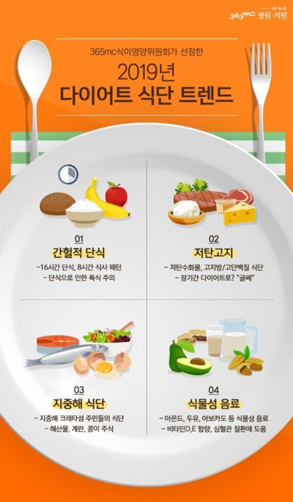 2019년 다이어트 식단 트렌드를 소개하는 인포그래픽 이미지. 네 가지 트렌드로 간헐적 단식, 저탄고지, 지중해 식단, 식물성 음료가 설명되어 있다. 각 항목에는 관련 음식 그림(빵, 밥, 바나나 등 과일/야채/고기/치즈/생선/계란/아보카도와 견과류 및 음료)이 함께 배치되어 있다.