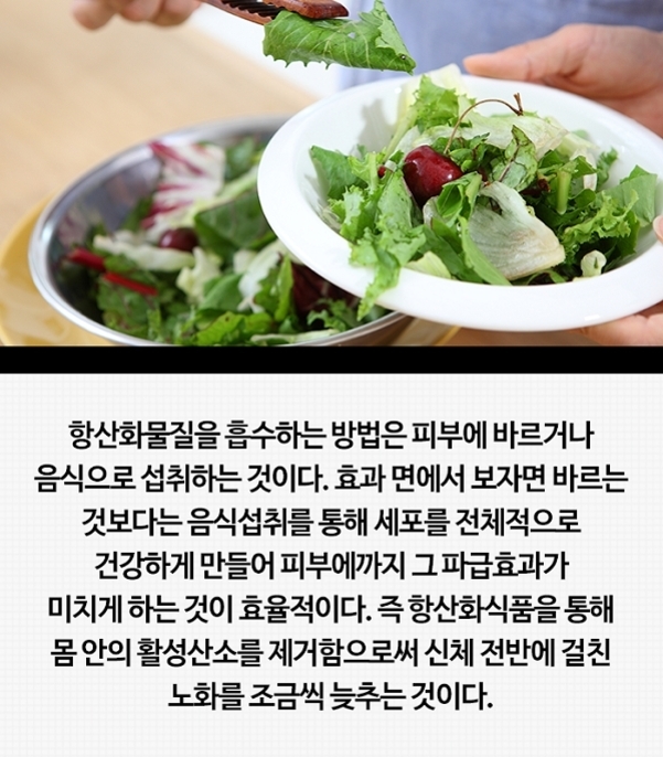 샐러드를 접시에 담는 모습과 함께, 항산화물질의 흡수 방법 및 음식 섭취의 효능에 대해 설명하는 한글 텍스트가 있는 이미지