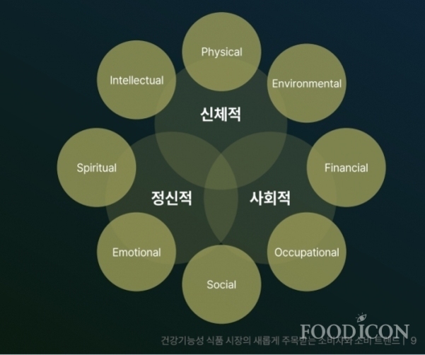 신체적, 정신적, 사회적 영역을 중심으로 각각 Physical, Environmental, Financial, Occupational, Social, Emotional, Spiritual, Intellectual로 구성된 8가지 웰니스 요소 다이어그램.