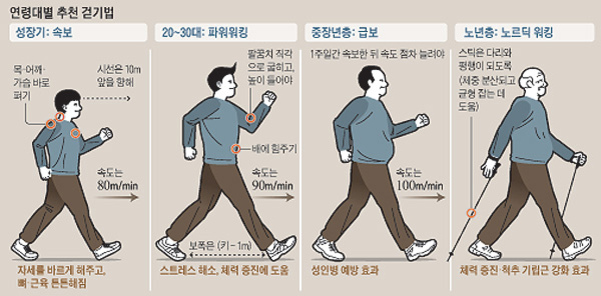 연령대별 추천 걷기법을 안내하는 인포그래픽. 성장기는 속보, 20~30대는 파워워킹, 중장년층은 급보, 노년층은 노르딕 워킹이 제시되어 있으며 각 연령별 특징과 권장 속도 및 효과가 그림과 함께 설명됨.