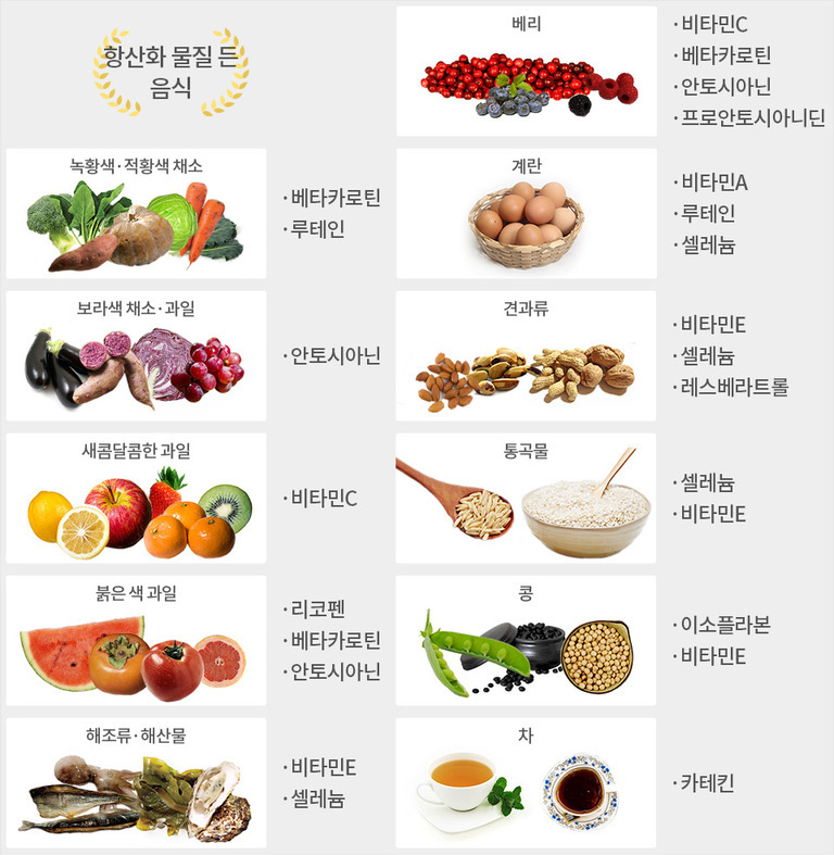 항산화 물질이 풍부한 다양한 음식(베리, 녹황색·적황색 채소, 보라색 채소·과일, 새콤달콤한 과일, 붉은 색 과일, 해조류·해산물, 계란, 견과류, 통곡물, 콩, 차)과 각 음식에 포함된 주요 항산화 영양소(비타민C/A/셀레늄/베타카로틴/루테인/안토시아닌/프로안토시아니딘/레스베라트롤 등)가 정리된 인포그래픽 이미지