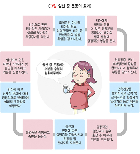 임신 중 운동의 효과를 설명하는 인포그래픽으로, 중앙에는 물을 마시는 임산부 그림이 있고, 주변에 임신 중 운동이 정신적·체중 관리, 태아 건강 증진, 스트레스 해소, 출산 준비 등 다양한 긍정적 영향을 준다는 내용의 텍스트 박스가 원형으로 배치되어 있다.