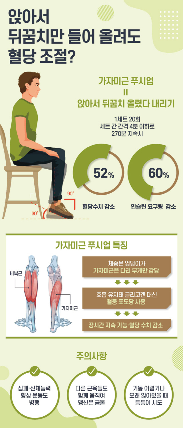 의자에 앉아 발끝을 들어올리는 '가자미근 푸시업' 운동이 혈당 조절과 인슐린 요구량 감소에 도움을 줄 수 있음을 설명하는 인포그래픽. 그림에는 남성이 의자에 앉아 뒤꿈치를 들어 올리는 모습, 다리 근육(비복근, 가자미근) 해부도, 효과(혈당수치 52% 감소, 인슐린 요구량 60% 감소), 주의사항 등이 포함됨.