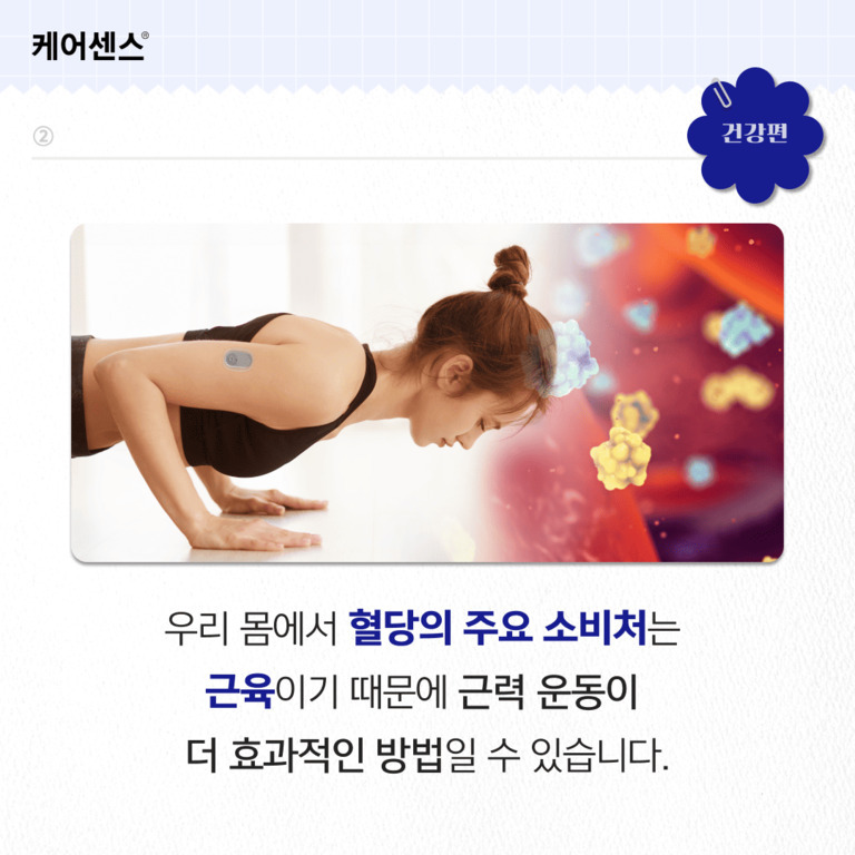 여성이 팔굽혀펴기를 하고 있으며, 배경에는 혈당과 관련된 분자 이미지가 있다. 하단에는 '우리 몸에서 혈당의 주요 소비처는 근육이기 때문에 근력 운동이 더 효과적인 방법일 수 있습니다.'라는 문구가 적혀 있다.
