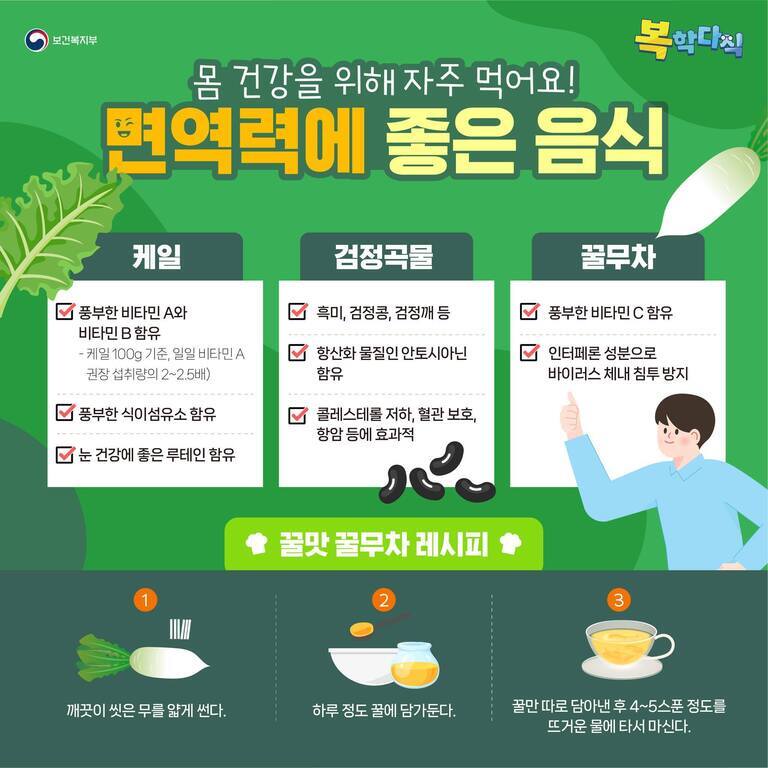면역력에 좋은 음식으로 케일, 검정곡물(흑미, 검정콩, 검정깨), 꿀무차를 소개하고 각각의 영양 성분과 효능을 설명하는 인포그래픽. 아래에는 꿀맛 꿀무차 레시피(무 얇게 썰기, 꿀에 담그기, 뜨거운 물에 타서 마시기)가 그림과 함께 안내되어 있다.