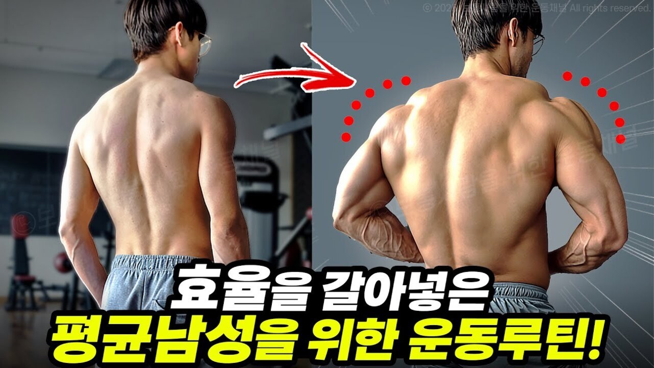 운동 전과 후의 남성 등 근육 변화 비교 이미지와 '효율을 갈아넣은 평균남성을 위한 운동루틴!'이라는 한글 문구