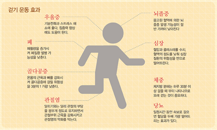 걷기 운동 효과를 설명하는 인포그래픽으로, 가운데 걷는 사람 그림이 있고, 주변에 우울증, 폐, 골다공증, 관절염, 뇌졸중, 심장, 체중, 당뇨와 관련된 건강 증진 효과가 각각 짧은 문장으로 정리되어 있다.