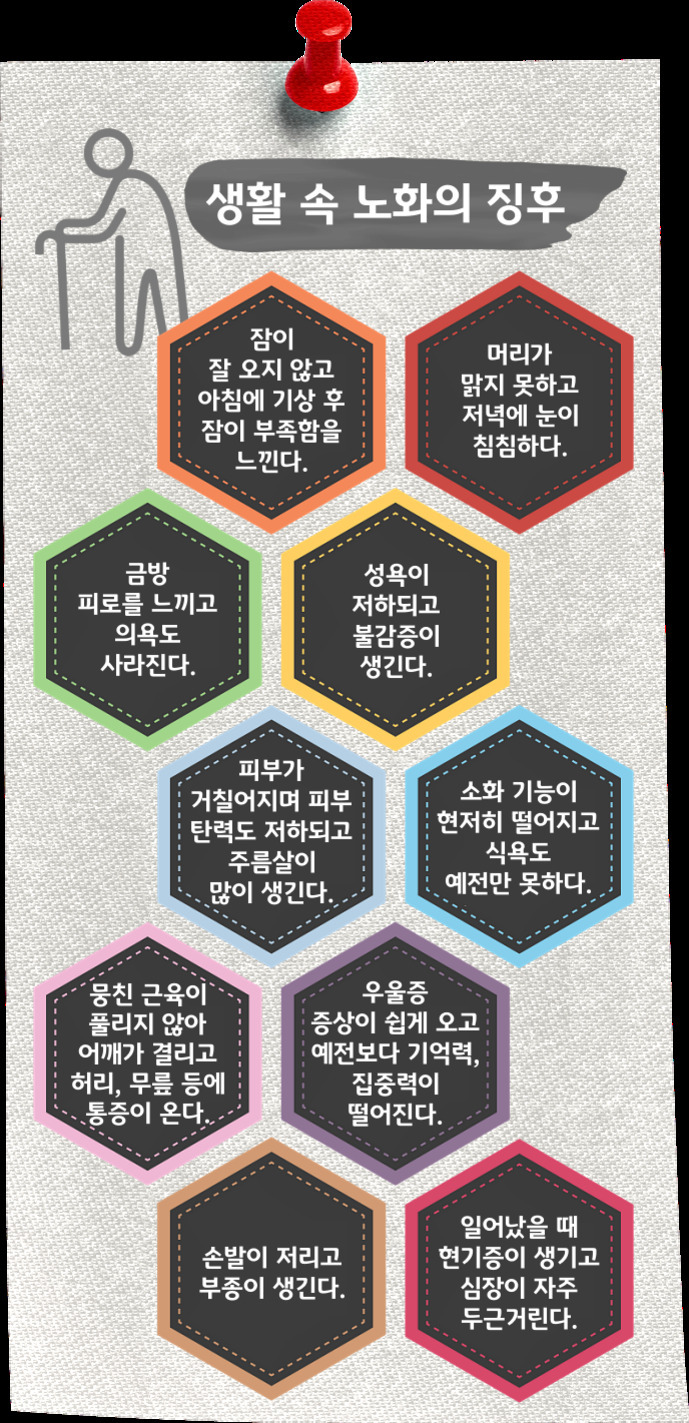 노인을 형상화한 그림과 함께 '생활 속 노화의 징후'라는 제목 아래, 수면 부족, 기억력 저하, 피로감 증가, 성욕 저하, 피부 탄력 감소와 주름살 증가, 소화 기능 저하 및 식욕 감소, 근육 경직 및 통증, 우울 증상과 집중력 저하, 손발의 저림 및 부종, 일어날 때 현기증과 심장 두근거림 등 노화로 인한 다양한 생활 변화 증상이 육각형 도형에 정리되어 있다.