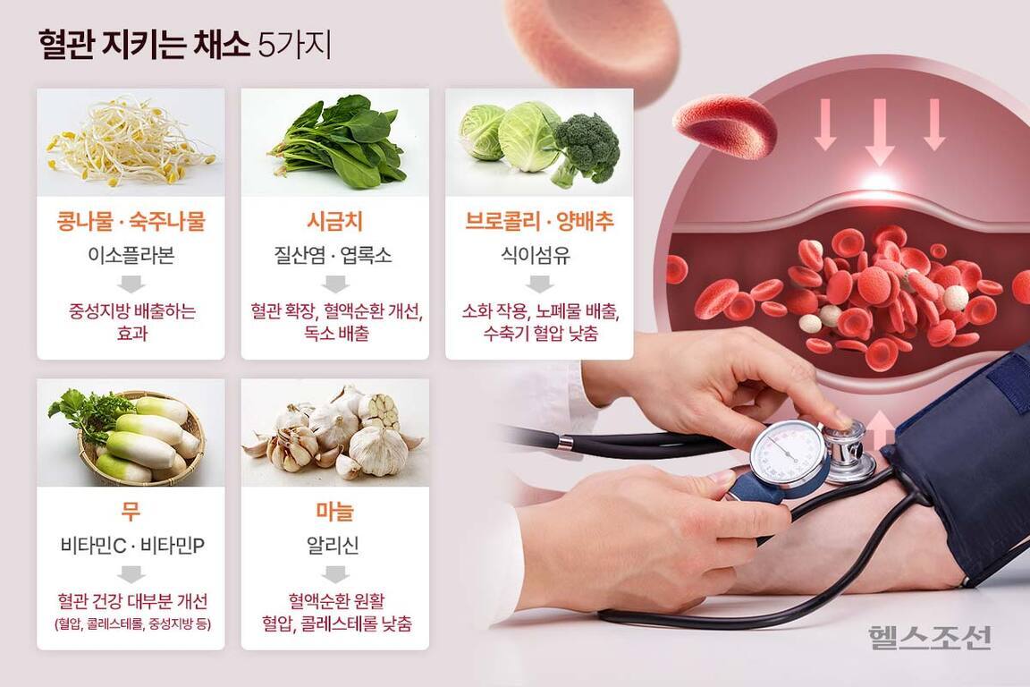 혈관 건강에 좋은 5가지 채소와 각 채소의 성분 및 효능이 설명된 이미지