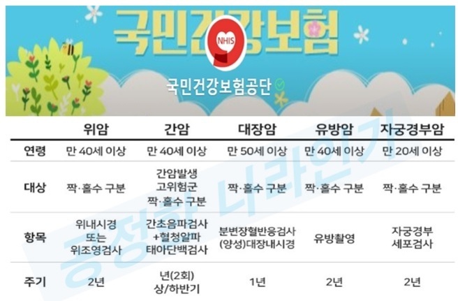 국민건강보험 암 검진 안내표. 위암, 간암, 대장암, 유방암, 자궁경부암에 대한 연령 기준, 대상 구분, 검사 항목 및 주기 정보가 표로 정리되어 있음.