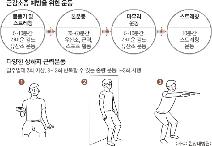 근감소증 예방을 위한 운동 순서와 다양한 상하지 근력운동 방법을 설명하는 이미지. 위쪽에는 스트레칭, 유산소 및 근력운동, 마무리 운동 등 단계별로 권장 시간과 내용을 안내하고 있으며, 아래쪽에는 아령 들기, 벽에 기대 앉기, 스쿼트 등 3가지 근력운동 동작의 일러스트가 있다.