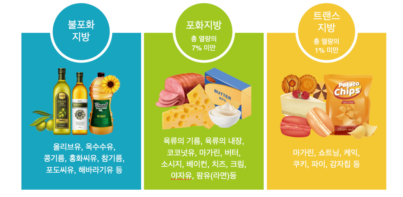 불포화지방, 포화지방, 트랜스지방의 예시와 각각에 해당하는 식품들을 설명하는 이미지. 불포화지방은 올리브유, 옥수수유 등 식물성 기름이 대표적이고, 포화지방은 육류의 기름과 버터, 치즈 등이 해당하며 총 열량의 7% 미만 섭취 권고. 트랜스지방은 마가린과 케이크, 감자칩 등으로 총 열량의 1% 미만 섭취 권고.
