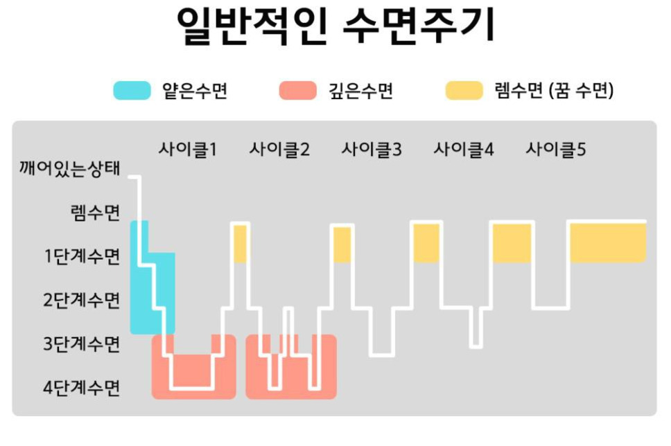 일반적인 수면주기를 나타낸 그래프 이미지로, 얕은수면(파란색), 깊은수면(주황색), 렘수면(노란색)으로 구분되어 5개의 수면 사이클이 시간에 따라 반복되는 모습을 보여준다. 왼쪽에는 각 수면 단계가 표시되어 있다.