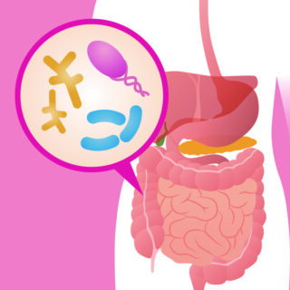 image 45569dda 782e 43b3 bc15 d38195a5c13d