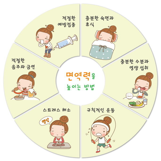 면역력을 높이는 방법을 설명하는 원형 다이어그램. 적절한 예방접종, 충분한 숙면과 휴식, 충분한 수분과 영양 섭취, 규칙적인 운동, 스트레스 해소, 적절한 음주와 금연 등 여섯 가지 방법이 귀여운 캐릭터 그림과 함께 소개되어 있다.