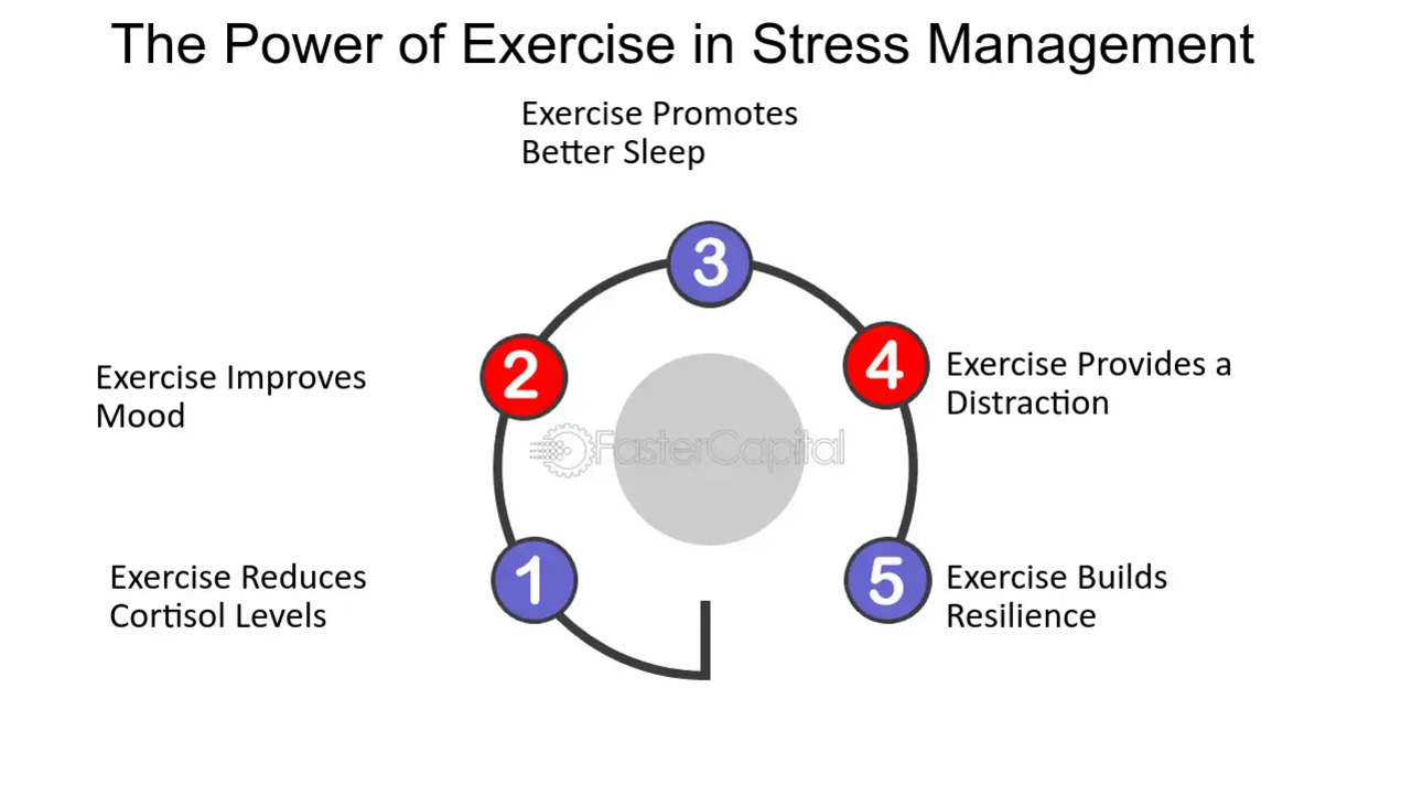 운동이 스트레스 관리에 미치는 영향에 대한 다섯 가지 요소를 원형 도식으로 나타낸 이미지. 1번: 운동은 코르티솔 수치를 감소시킴, 2번: 운동은 기분을 향상시킴, 3번: 운동은 더 나은 수면을 촉진함, 4번: 운동은 주의를 분산시켜줌, 5번: 운동은 회복탄력성을 길러줌.
